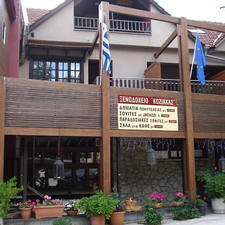 Hotel Koziakas Elati  Экстерьер фото